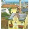 % carte postala (ilustrata)-SATU MARE