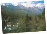 % carte postala (ilustrata)-SINAIA-Vedere, Circulata, Printata