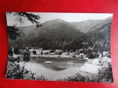 aug15 - Vedere/ Carte postala - Tusnad - Lacul Ciucas