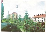% carte postala (ilustrata)-HARGHITA-Vlahita