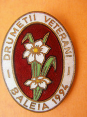 INSIGNA DRUMETII VETERANI BALEIA 1994 foto