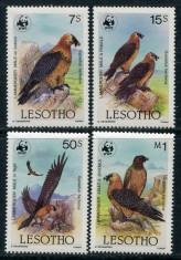 LESOTHO 1986 WWF PASARI foto