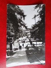 aug15 - Vedere/ Carte postala - Slanic - Moldova