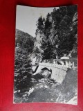 aug15 - Vedere/ Carte postala - Olanesti