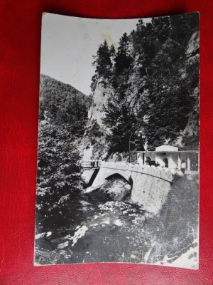 aug15 - Vedere/ Carte postala - Olanesti foto