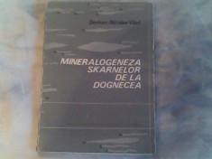 Mineralogeneza skarnelor de la Dognecea-Serban Nicolae Vlad foto