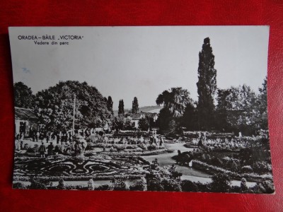 aug15 - Vedere/ Carte postala - Oradea foto