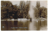 1049 - BUCURESTI, Lake and park Cismigiu - old postcard, real PHOTO - unused, Necirculata, Fotografie