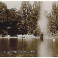 1049 - BUCURESTI, Lake and park Cismigiu - old postcard, real PHOTO - unused