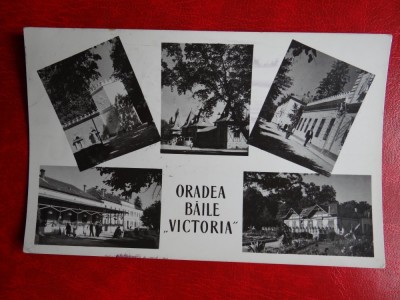 aug15 - Vedere/ Carte postala - Oradea foto
