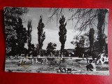 aug15 - Vedere/ Carte postala - Oradea
