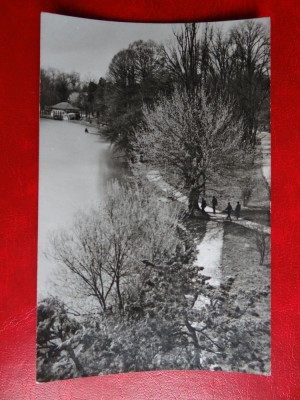 aug15 - Vedere/ Carte postala - Craiova foto