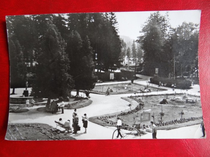 aug15 - Vedere/ Carte postala - Borsec -