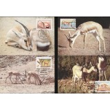 LIBIA 1987 WWF ANTILOPE - SET 4 MAXIME