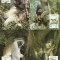 ST. KITTS 1986 WWF MAIMUTE - SET 4 MAXIME