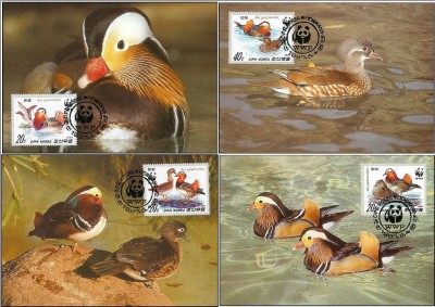 COREEA DE NORD 1987 WWF PASARI PROTEJATE RATE MANDARIN - SET 4 MAXIME foto