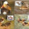 COREEA DE NORD 1987 WWF PASARI PROTEJATE RATE MANDARIN - SET 4 MAXIME
