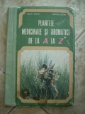 PLANTE AROMATICE DE LA A LA Z - BOJOR