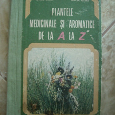 PLANTE AROMATICE DE LA A LA Z - BOJOR