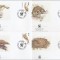 GAMBIA 1993 WF PANGOLIN - SET 4 FDC-URI