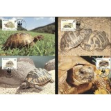 MONACO 1991 WWF BROASTE TESTOASE - SET 4 MAXIME