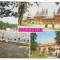 % carte postala (marca fixa)-ORADEA-Baile Felix-colaj
