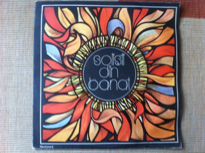 solisti din banat disc vinyl lp muzica populara orchestra banatul stan EPE 02402 foto