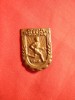 Insigna Cupa Tineretului Muncitor 1945 , ac relipit