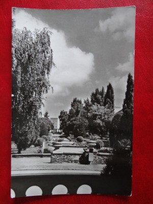 aug15 - Vedere/ Carte postala - Satul-Mare foto