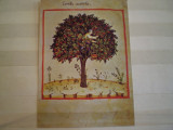 ITALIA - UBUBCHASYM DE BALDACH - THEATRUM SANITATIS - CIRCULATA .