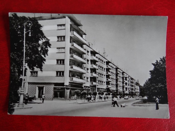 aug15 - Vedere/ Carte postala - Arad