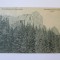 C.P. HOHENSTEIN(PEATRA MARE)-SIBIU ANII 20