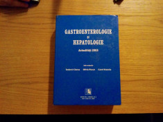 GASTROENTEROLOGIE si HEPATOLOGIE - T. ciurel, O. Pascu, C. Stanciu - 2003 foto