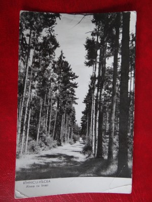 aug15 - Vedere/ Carte postala - Ramnicul Valcea foto
