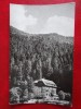 Aug15 - Vedere/ Carte postala - Timisul de Jos, Circulata, Printata