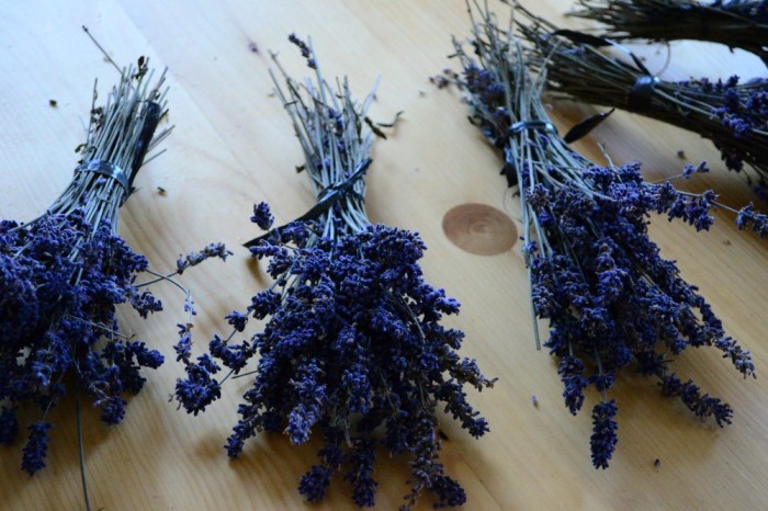 Vand Buchetele De Lavanda Uscata Arhiva Okazii Ro