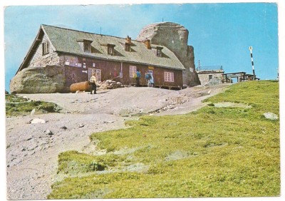 % carte postala (ilustrata)-MUNTII BUCEGI-Cabana Omul foto