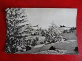 aug15 - Vedere/ Carte postala - Pe Muntele Semenic
