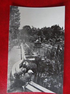 aug15 - Vedere/ Carte postala - Cluj foto