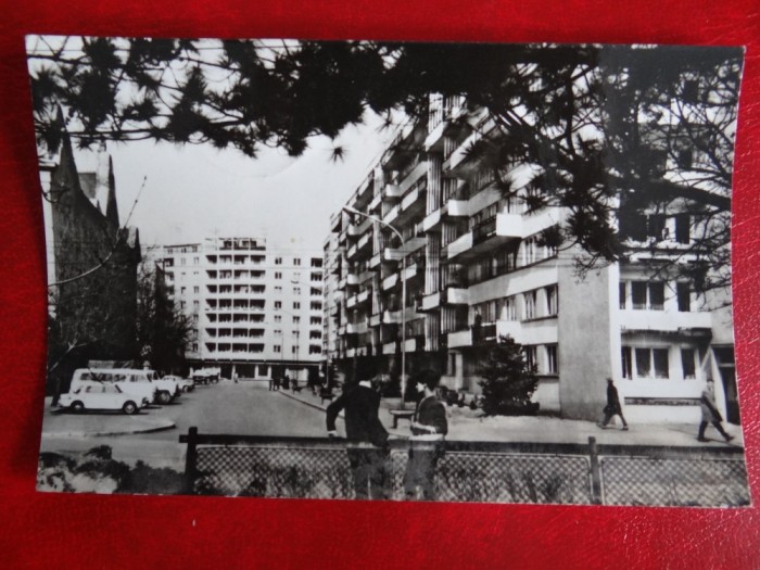 AUG15 - Vedere/ Carte postala - Timisoara