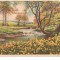 CPI (B5213) CARTE POSTALA - PEISAJ DE TOAMNA, POMI, RAU, FLORI