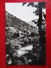 AUG15 - Vedere/ Carte postala - Valea Oltului