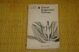 Cazul Eugenitei Costea - Mihail Sadoveanu - Editura Eminescu - 1970