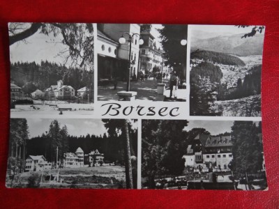 AUG15 - Vedere/ Carte postala - Borsec foto