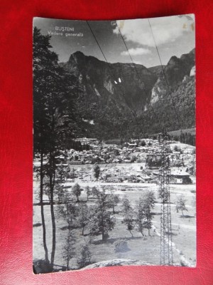 AUG15 - Vedere/ Carte postala - Busteni foto