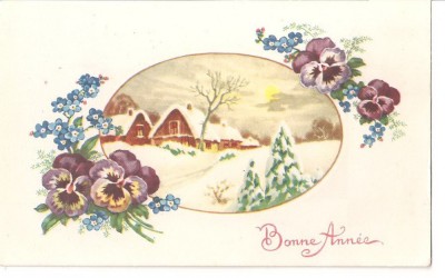 CPI (B5217) CARTE POSTALA - FELICITARE DE ANUL NOU, BONNE ANNEE foto