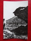aug15 - Vedere/ Carte postala - Bordul Tomei - Masivul Retezat