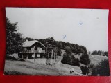 aug15 - Vedere/ Carte postala - Pe Muntele Semenic