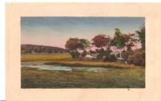 CPI (B5208) CARTE POSTALA - PEISAJ, POMI, RAU