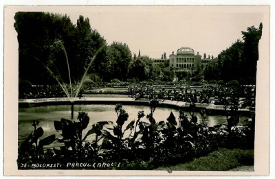 651 - BUCURESTI, Park CAROL - old postcard, real PHOTO - used foto